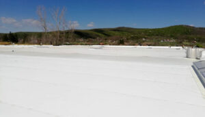 Santier Hala productie ELEMASTER